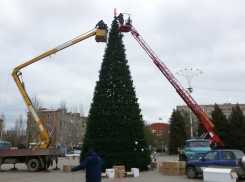 Охрана новогодней ели в старой части Волгодонска обойдется в 100 000 рублей