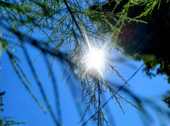 Сильная жара и высокая пожароопасность: волгодонцев призывают быть осторожнее 