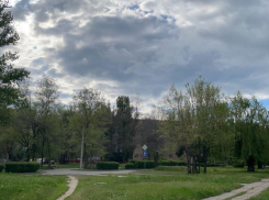 До +18 градусов прогреется воздух в Волгодонске сегодня 