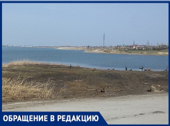 «Зачем уничтожать рощу рыбаков на Путепроводе?»: волгодонец