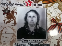 Трогательное сочинение ученицы школы №11 из Волгодонска оценили эксперты ДГТУ в Ростове-на-Дону