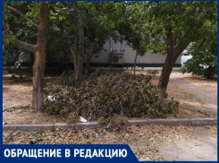 Последствия непогоды до сих пор не спешат устранять в Волгодонске