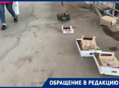«Торгаши, забирайте свой мусор домой»: стихийные рынки на «Машеньке» превратились в стихийную свалку