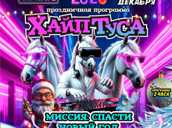 Ликвидация! Билеты на «Хайп Тусу»: Новый год, о котором мечтали дети