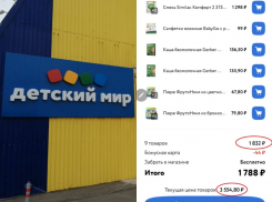 «Детский мир» в Волгодонске поднял цены на ряд товаров в два раза