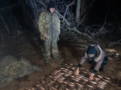 Истребителя плотвы из станицы Хорошевской задержали на Цимлянском водохранилище