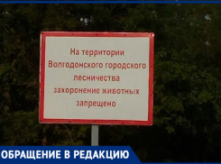 Волгодончанка просит городские власти организовать кладбище домашних животных
