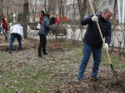 В Волгодонске убрали мусор с 60 гектаров улиц и парков