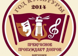 Волгодонские учреждения культуры будет курировать общественный совет