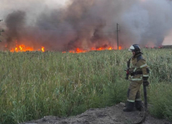 Пострадавшие от жуткого пожара в хуторе Паршиков погорельцы получат финансовую помощь от области