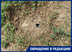 Спилили и безвозвратно увезли теннисный стол с детской площадки: жители Заветного требуют вернуть спортивный инвентарь обратно 