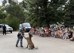В детском центре «Ивушка» вторая смена завершилась визитом полицейской собаки