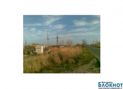 В садоводстве «Мичуринец» потушили пожар