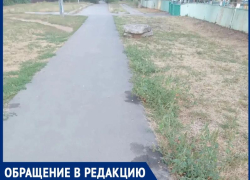 «Весь тротуар в лужах, газон в экскрементах»: жители квартала В-5 стыдят владельцев собак и просят помощи у властей