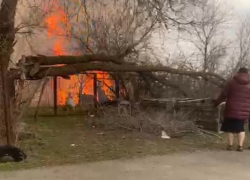 Ландшафтный пожар угрожает перекинуться на жилые дома в Красном Яру 
