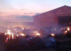 В Мартыновском районе выгорело несколько десятков кубометров сена