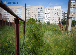 В Волгодонске фиксируют первые в этом году нарушения в виде нескошенной сорной растительности