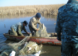 Браконьеру из Волгодонска грозит до пяти лет тюрьмы за ловлю раков и рыбы