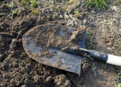 Волгодончанка жестоко убила знакомого и закопала труп в огороде