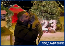 Экс-волгодонец Михаил Зарецкий и его тигренок поздравили волгодонцев со Старым Новым годом 