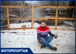 Топ мест для новогодних селфи в Волгодонске