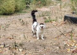 Солнце сегодня будет укрыто тучами