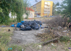Жильцы слезно просили убрать мусор: сотрудники ДСиГХ устранили свалку во дворе МКД