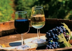 Волгодонску предложили стать центром винодельческого кластера