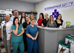 Они понимают животных без слов: специалисты Ветеринарного центра отмечают профессиональный праздник