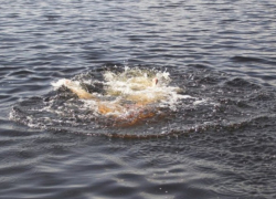 Тело утонувшего мужчины достали из 15-го котлована в Волгодонске 