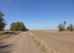 Ветреная погода возвращается в Волгодонск