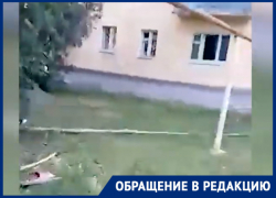 «Ленина-улица контрастов»: как ЖЭКи по-разному содержат дома