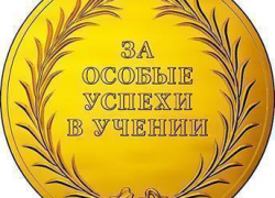 В Волгодонске подсчитали количество школьных медалистов