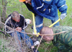 Прикованного цепью к дереву мужчину обнаружили в окрестностях Волгодонска