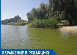 Грязный и запущенный городской пляж возмутил волгодонцев