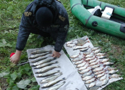 На 15-м котловане в Волгодонске поймали браконьера на резиновой лодке