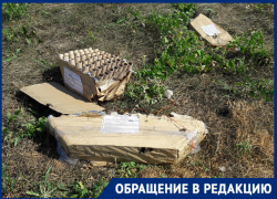 Прекрасен праздничный салют, но мусор после него никто не соизволил убрать: волгодончанка 