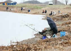 Таранька, судак и сазан: волгодонские рыбаки заполонили залив и гордятся уловом