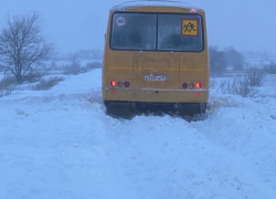 Даже школьный автобус застрял: Зимовниковский район занесло снегом