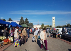 Первая осенняя ярмарка в Волгодонске пройдет на площади Победы
