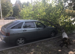 Вырванное с корнем дерево упало на припаркованный на проспекте Строителей ВАЗ-2112