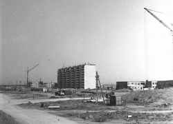 Улице Дружбы исполнилось 47 лет