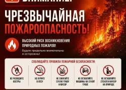 МЧС объявило чрезвычайную пожарную опасность в граничащих с Волгодонском районах 