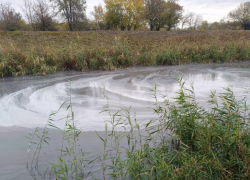 «Нашим предкам река Быстрая дала жизнь – а мы превратили ее в убийцу!»: жители в ужасе от экологического коллапса водоема