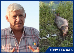 «Это экологическая катастрофа»: волгодонцы о массовом вымирании рыбы в «Городе счастья»