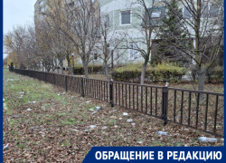 «Атомград называется»: жительница Волгодонска поделилась зарисовками городского пейзажа 