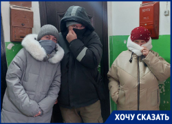 Кошка сдохла в «ничейной» теплотрассе: трупный смрад прямиком из-под земли сводит жителей МКД в Волгодонске с ума 