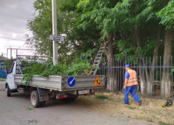 Автомобилисты Волгодонска помогли администрации найти закрытые листвой дорожные знаки