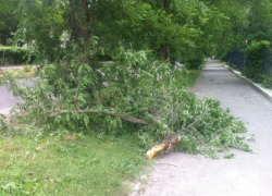 Читательница «Блокнота»: «Из-за халатности наших властей могут пострадать дети»