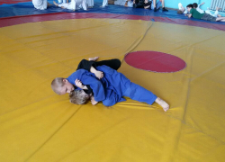 Волгодонцы привезли пять медалей с Кубка по дзюдо